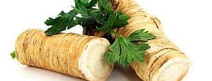 horseradish root