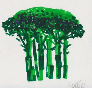 seatonBroccoli Broccoli- Painting by Jerry Seaton (www.jerryseaton.com)